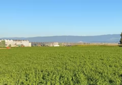 SELFRAG at Swiss Green Economy Symposium